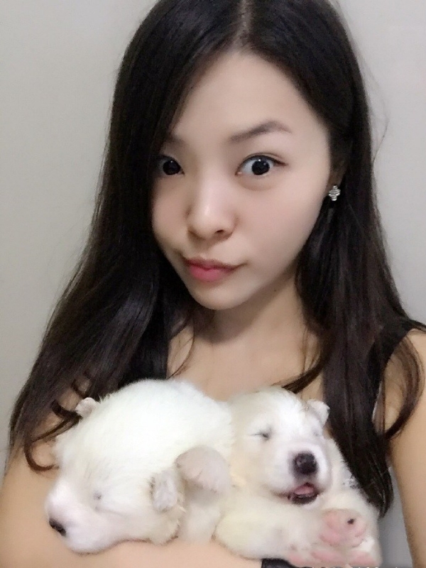 如果可以的第三张照片--沈阳相亲服务中心