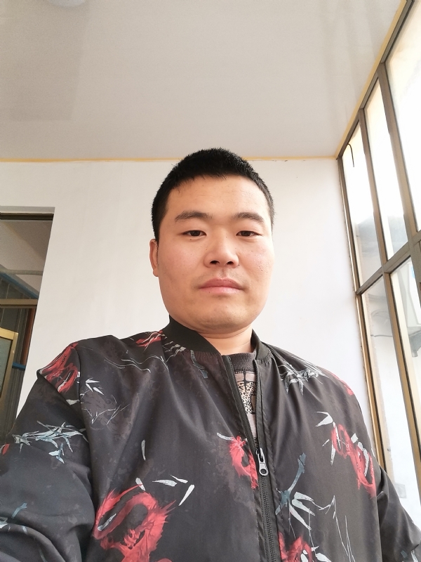 会飞的猪的第一张照片--沈阳相亲服务中心