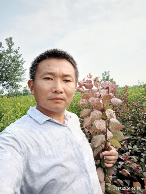 孩子爸的第一张照片--沈阳相亲服务中心