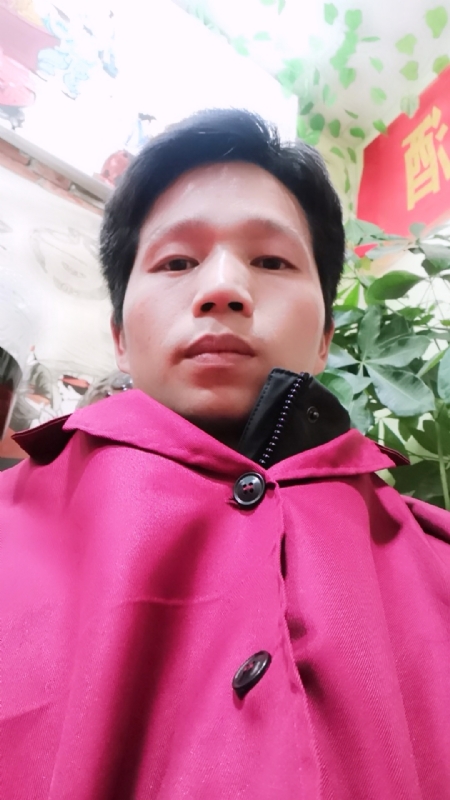单身的林凡的第一张照片--沈阳相亲服务中心