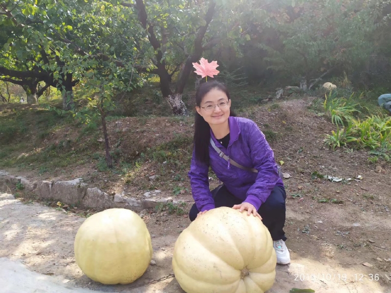 海绵宝宝的第一张照片--沈阳相亲服务中心