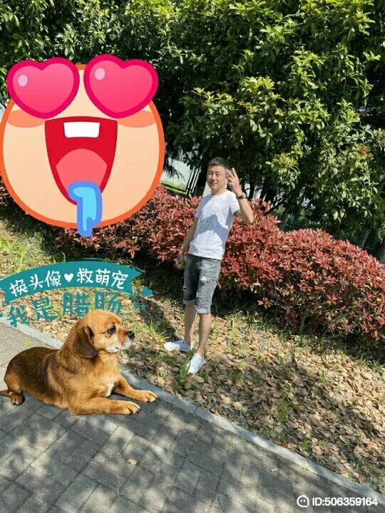 我若不坚强谁替我勇敢的第五张照片--沈阳相亲服务中心