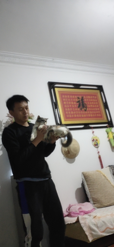 水思云的第一张照片--沈阳相亲服务中心