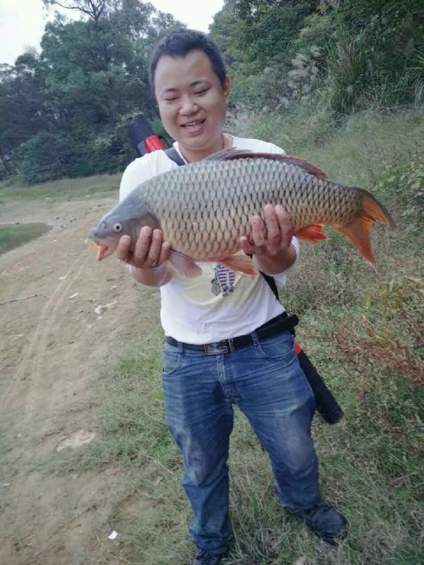 迷路的男人的第一张照片--沈阳相亲服务中心