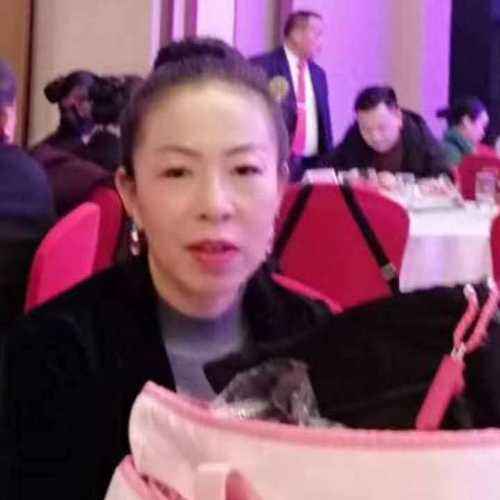中秋桂花玉兔的第四张照片--沈阳相亲服务中心