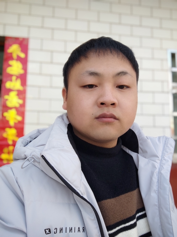 断翅的雄鹰的第二张照片--沈阳相亲服务中心